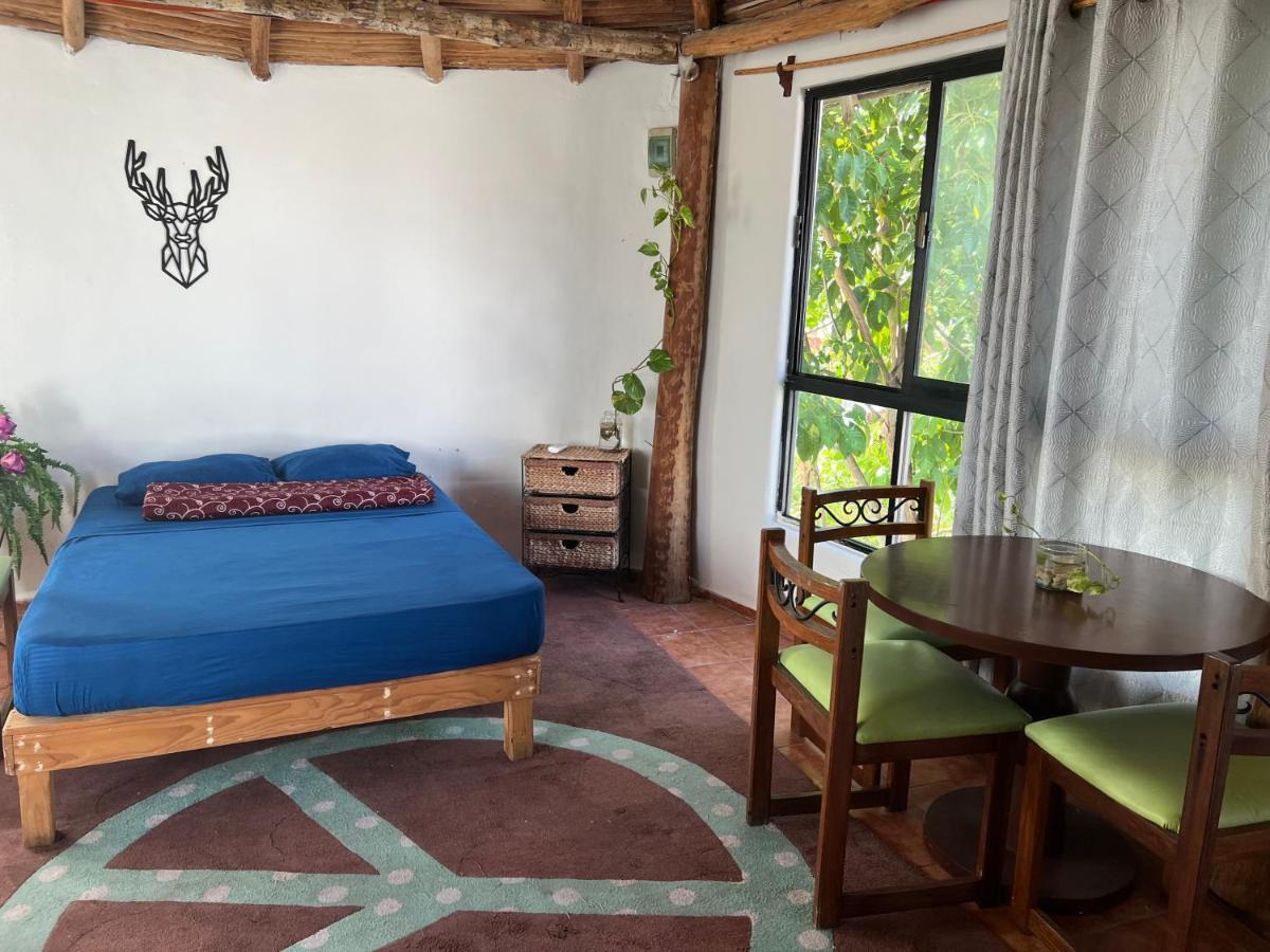 Villa Blanca Cancún Zewnętrze zdjęcie